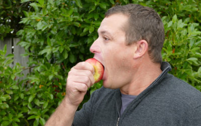 Apple harvest up to expectations