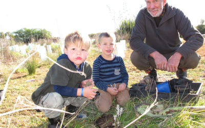 Banding together to battle for the birds