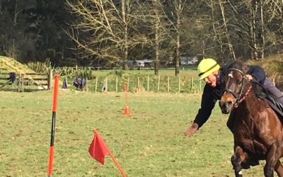Murchison Mounted Games a success