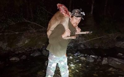 New hunting comp based on short films