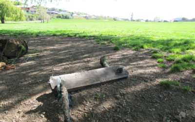 Mindless vandalism upsets reserve users