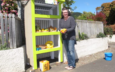 Community fruit and vege stall set up