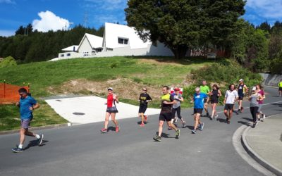 Varied tracks offer great running trails