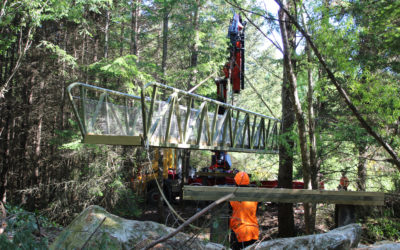 Cycle trail open before Christmas