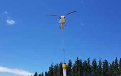 Suspicions over Rabbit Island fire
