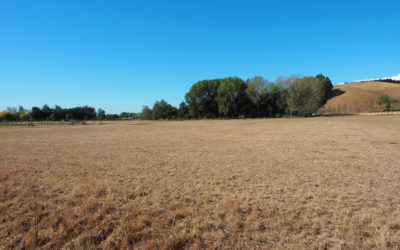 Water shortage remains critical