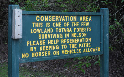 Progress report on bid to buy totara forest land imminent