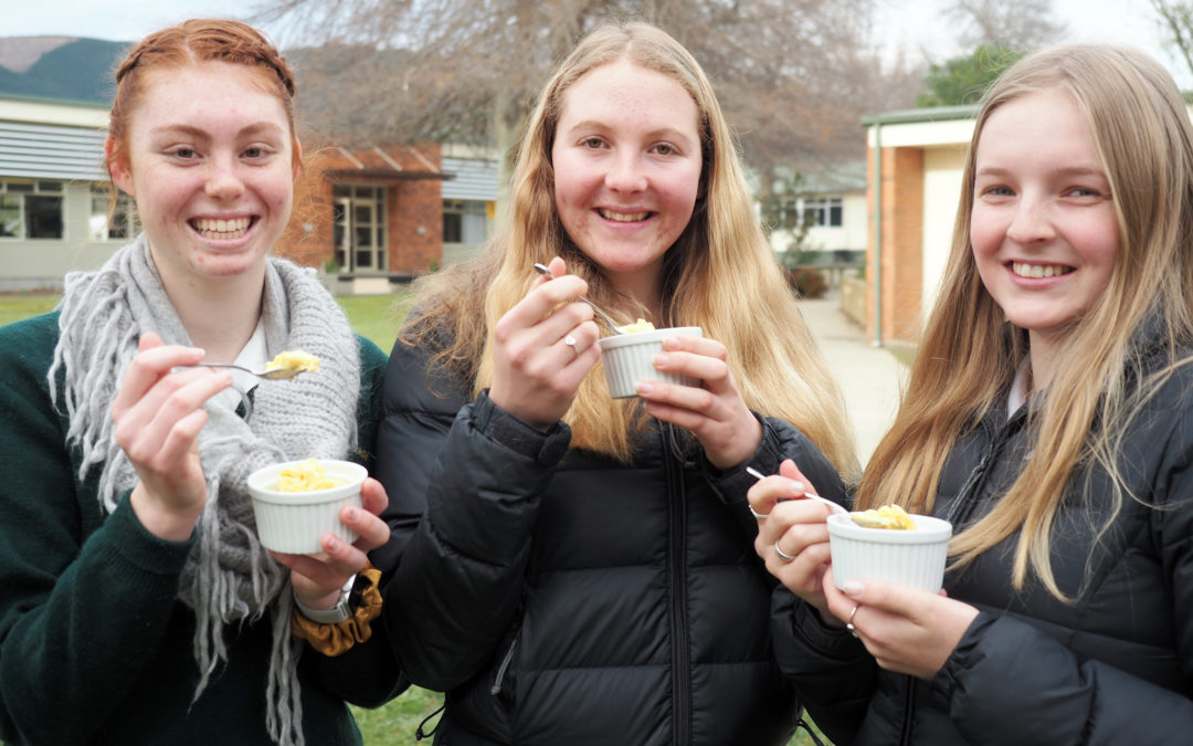 Big plans for local frozen yoghurt project