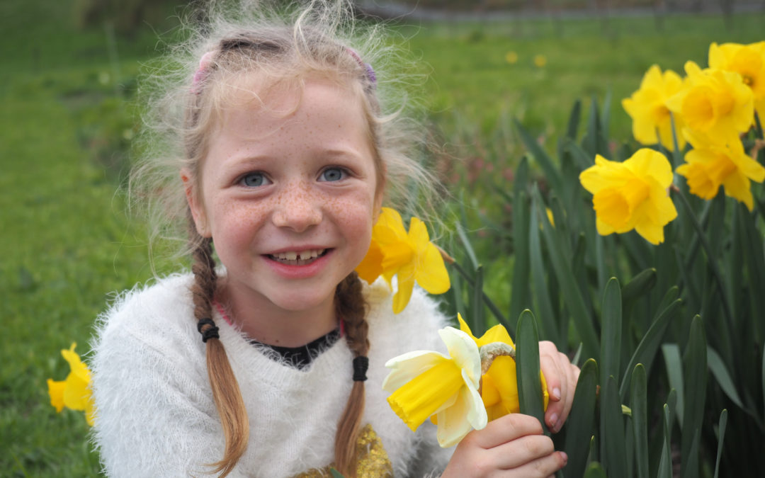 Welcome to Springtime!