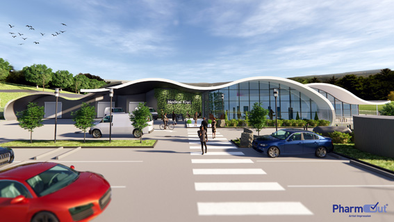 Local cannabis research authorised