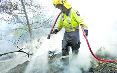 Fireworks a cause for concern this summer