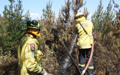 Tasman moves into complete fire ban