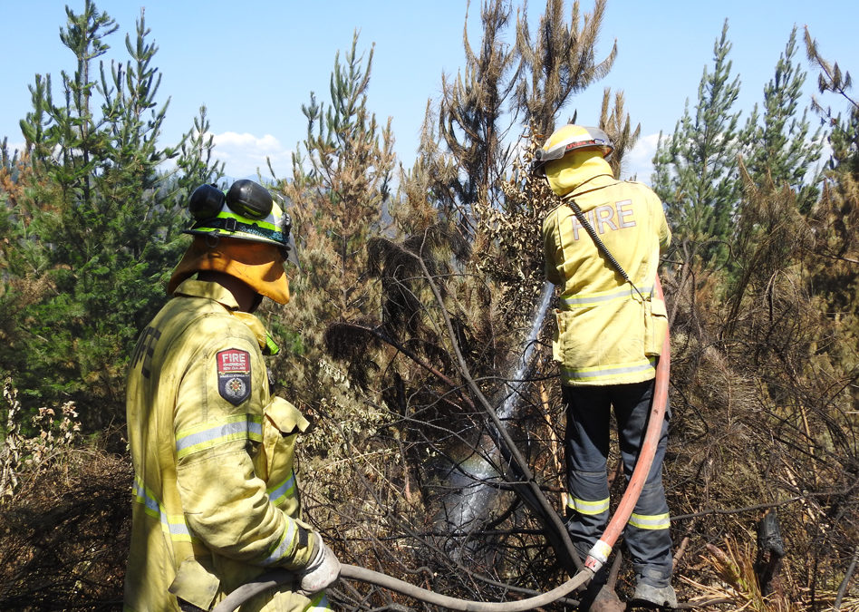 Tasman moves into complete fire ban