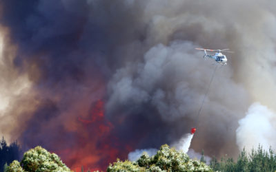 Pigeon Valley fire: One year on