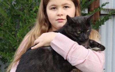 Wakefield has cruel cat shooter