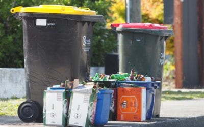 Recycling still on go-slow
