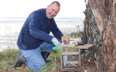 Trap pests – save birds