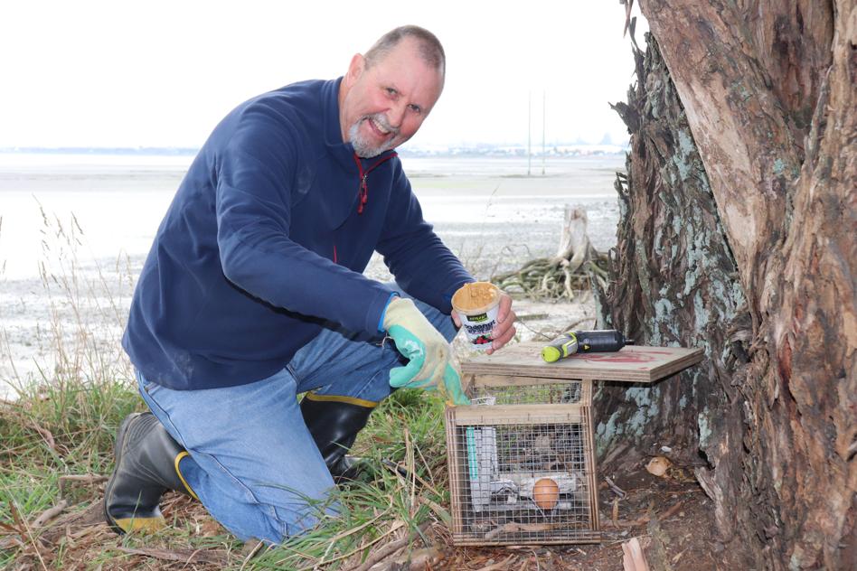 Trap pests – save birds