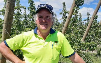 Big career change, from tourists to fruit
