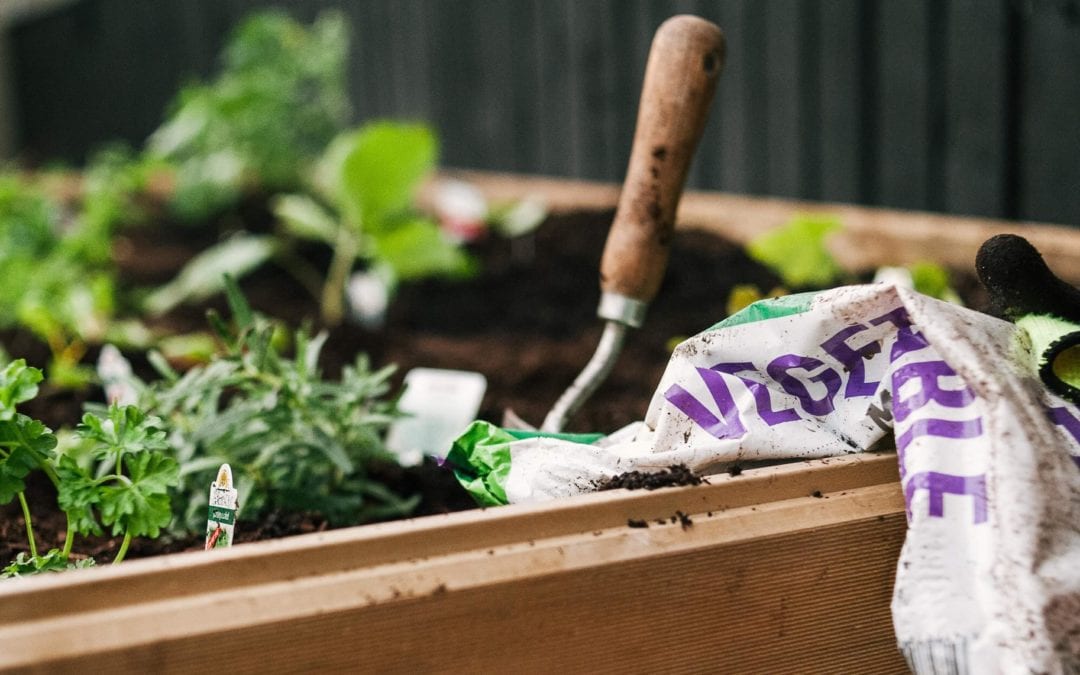 Warning to gardeners – stay safe