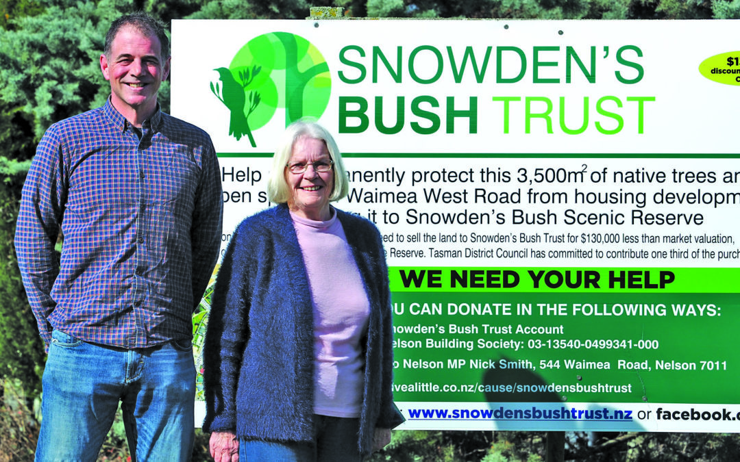 On the home straight for Snowdens Bush Trust