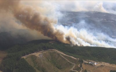 2019 Tasman fires remembered