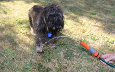 Water restrictions have begun