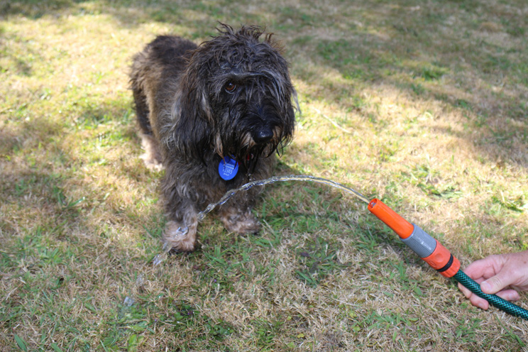 Water restrictions have begun