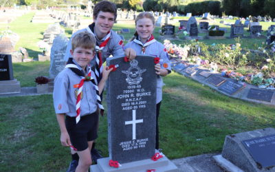 Poppy tributes placed in remembrance