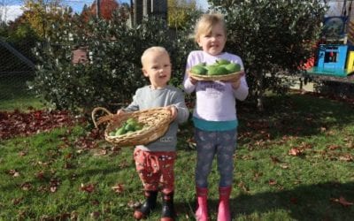 Treasure hunting at Brightwater Playcentre