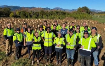 Fonterra staff help plant taste trail